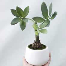 Load image into Gallery viewer, Luyue Artificial Flower Plant Bonsai Money Tree Home Decoration Potted plants Plastic Flower Vase Home courtyard Decor Garden