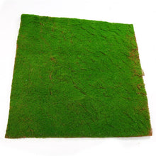 Load image into Gallery viewer, Luyue 1M*1M Square Artificial Plant Lawn Home Simulation Plant Background Wall Moss Turf Green Sod Interior Window Decoration
