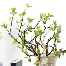 Load image into Gallery viewer, Real Touch Artificial Tree Branches with Green Leaves for Home Decoration Artificial Greenery